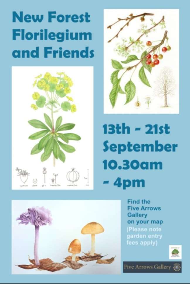 New Forest Florilegium and Friends